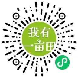 1715152031330823.jpg 9.jpg